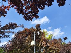 -元大都城垣遗址公园