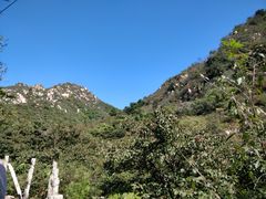 -大岭沟猕猴桃谷风景区