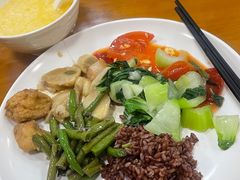 -全国青少年井冈山革命传统教育基地