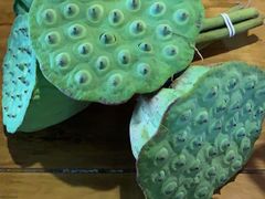 -长兴太湖图影湿地文化园