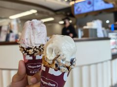 香草雪糕-哈根达斯(天河城店)