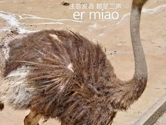 -栾川竹海野生动物园