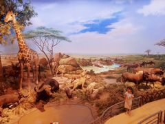 -陕西自然博物馆