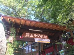 -宫城藏王狐狸村