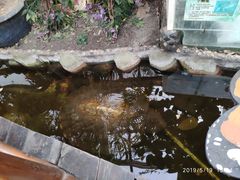 -上海大自然野生昆虫馆(东方明珠·爬宠昆虫探索中心)