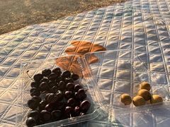 -白石龙音乐公园