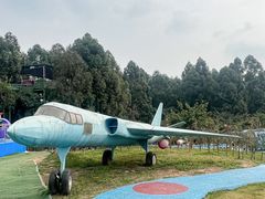 -空港花田景区