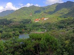 -深圳仙湖植物园