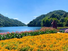 -广州市石门国家森林公园