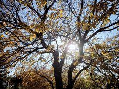 -香山公园-东宫门售票处