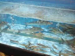 -鼓歌海鲜舫·手抓海鲜(大学城店)