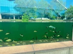 -鄱阳湖国家湿地公园