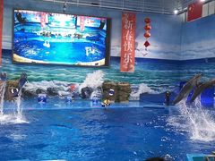 -多彩贵州城极地海洋世界