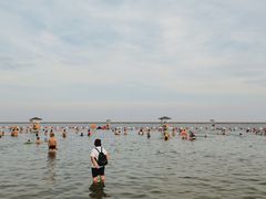 -碧海金沙