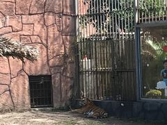 动物园-芽庄珍珠岛游乐园