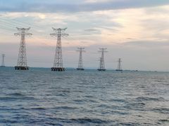 -宝安西湾红树林湿地公园