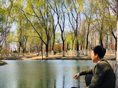 -长白岛森林公园