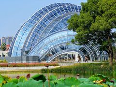 -上海植物园-4号门售票处