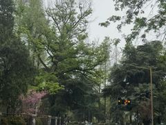 -全季酒店(南京明故宫店)