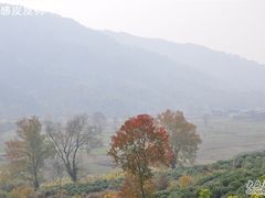-塔川景区
