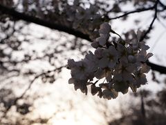 -苏州上方山国家森林公园