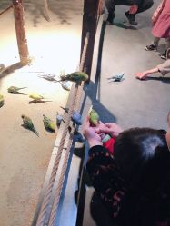 -酷嗒动物文化乐园(cutezoo西溪乐天城店)