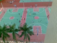 -肇庆市高要区新桥中学