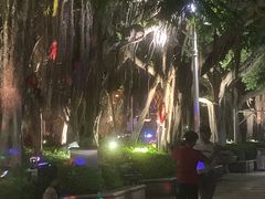 -厦门轮渡码头