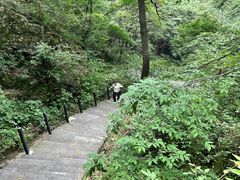 -王顺山国家森林公园