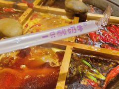 -一只酸奶牛(八一路店)
