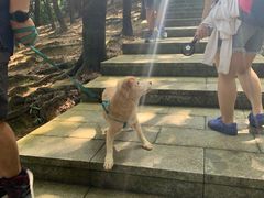 -火炉山森林公园