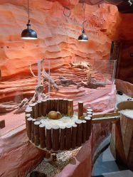 -Zoolung Zoolung动物主题公园(海信广场店)