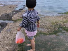 -日照灯塔风景区