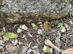 -云峰山自然风景区