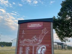 -瑶湖郊野森林公园