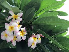 -布吉佳兆业广场