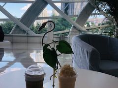 -凤凰中心