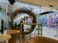 -猫域·湾主题猫咖·宠物吧(南坪城市广场店)