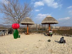 -羊亭河湿地公园