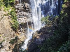 -海南热带雨林国家公园吊罗山景区