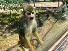 -石家庄市动物园