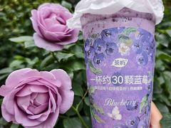 -茶屿水果茶(太古里店)