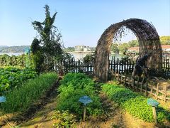 -天目湖山水园
