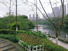 -重庆彩云湖湿地公园