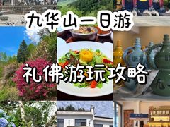 -枣子树·素食餐厅(普陀山店)