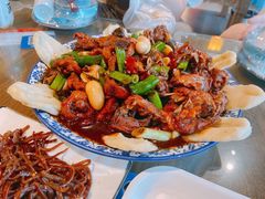-向民炒鸡老店(金泰华府店)