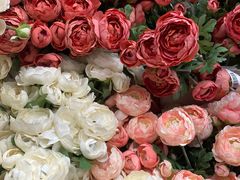 -宜家家居(高新商场店)