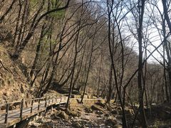 景点-牛背梁国家森林公园