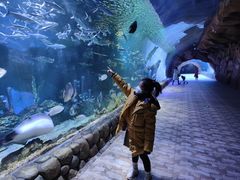 -华夏文旅海洋公园