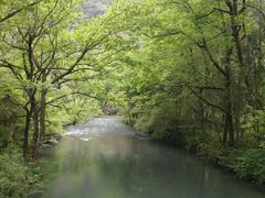 -大雁山风景区